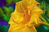 Yellow Orange Lily_P1150012-4art